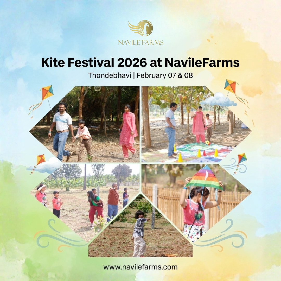 Kite Festival Celebration